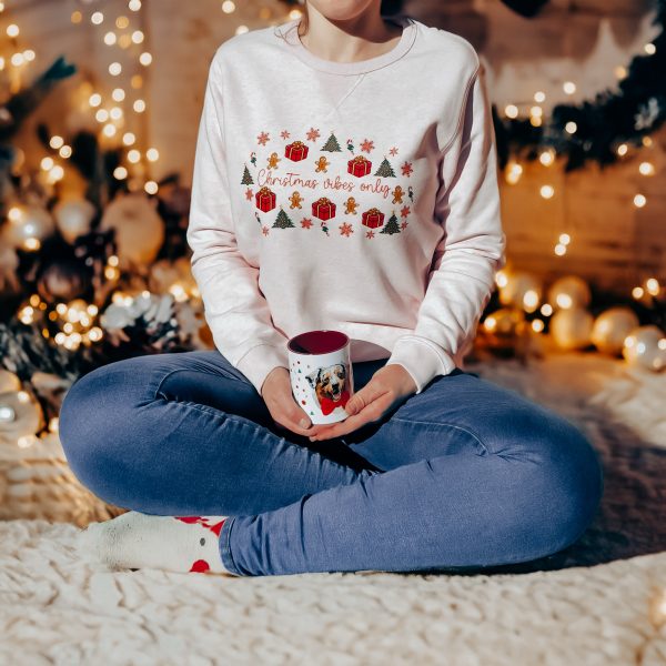 PULL DE NOËL 🎄