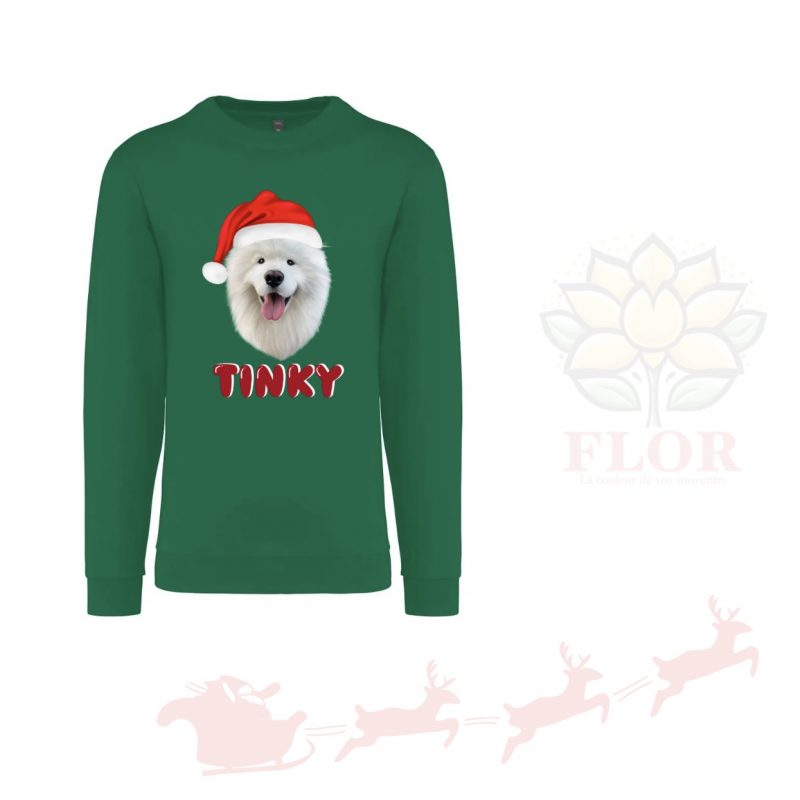 PULL DE NOËL🎄