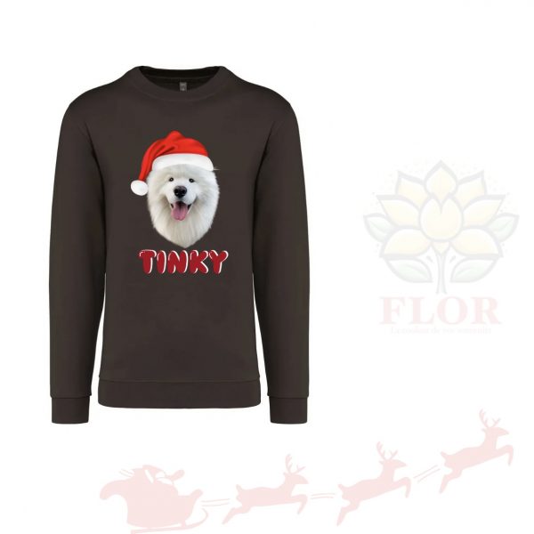 PULL DE NOËL (Illustration À Créer)