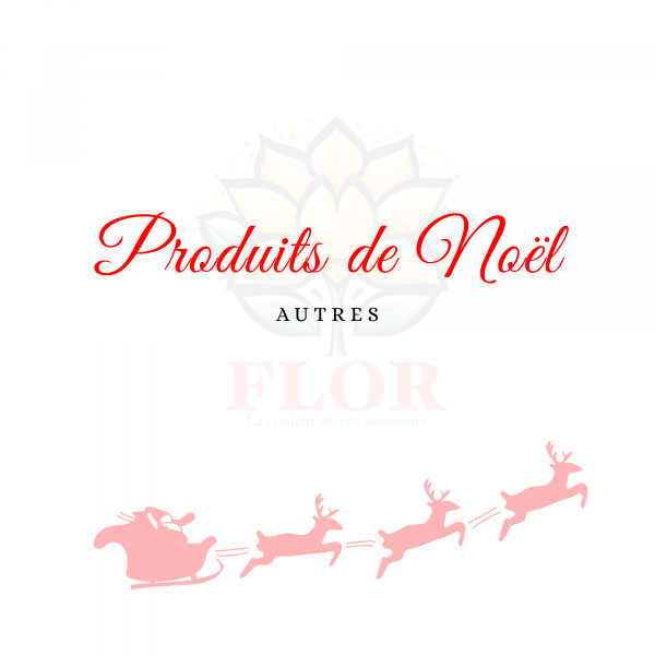Autres produits de Noël